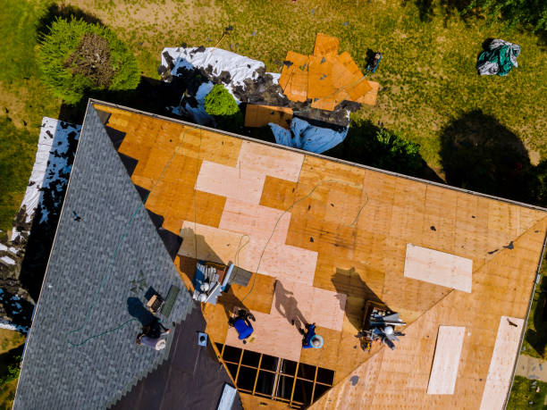 Best Roof Gutter Cleaning  in Clay, KY