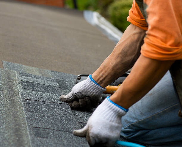 Roof Gutter Cleaning in Clay, KY